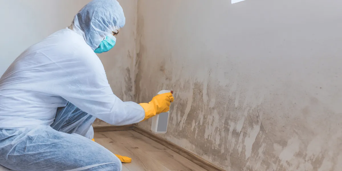Health Canada registered antimicrobial sanitization spray application in Canada